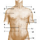 Les quiz sur l'anatomie de surface du corps
